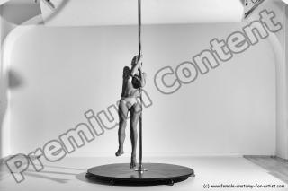 poledance reference 04 05